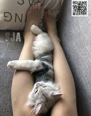 国产在线观看精品一区二区三区_DVD在线观看完整版