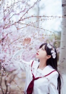 在线观看3级av_BD日本电影免费